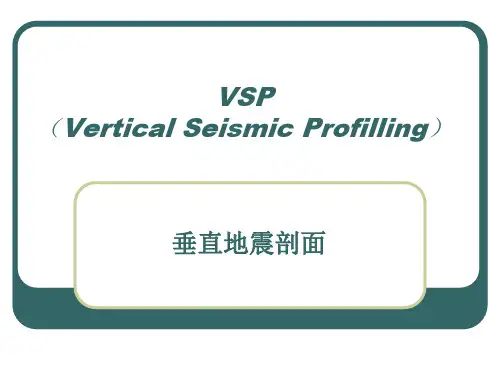 垂直地震剖面