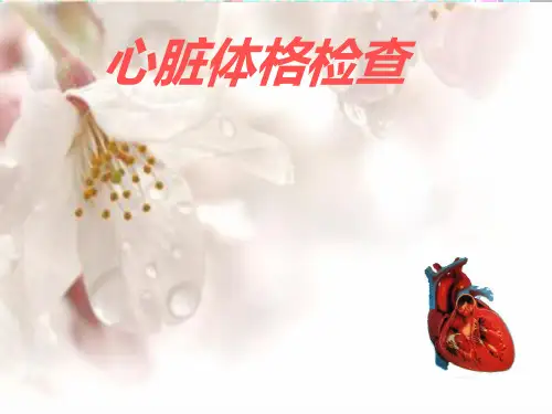 心脏体格检查第二部分