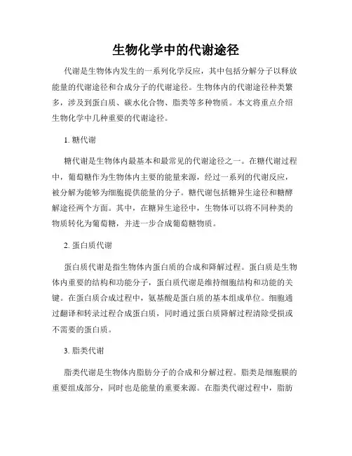 生物化学中的代谢途径