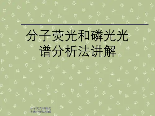 分子荧光和磷光光谱分析法讲解