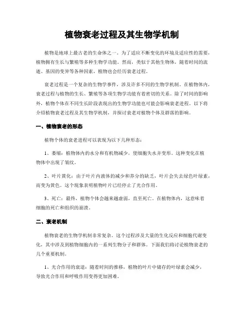 植物衰老过程及其生物学机制