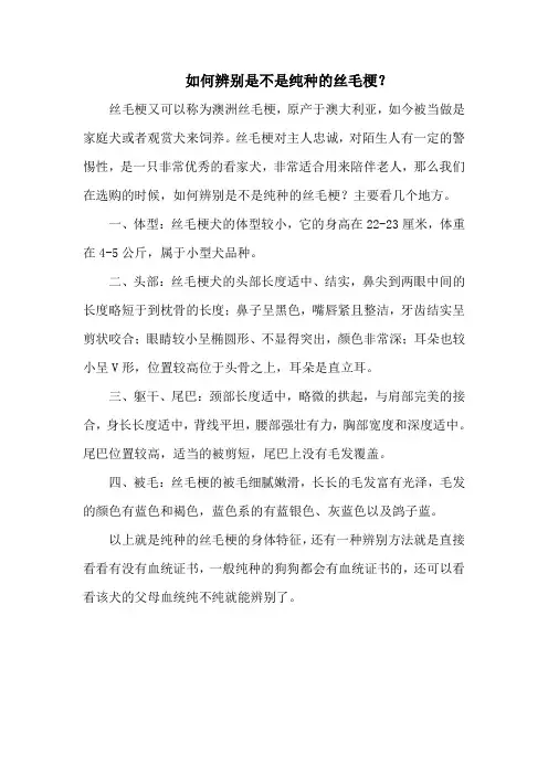 如何辨别是不是纯种的丝毛梗？