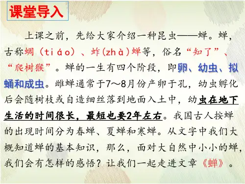 第21课《蝉》课件(共29张ppt)++2022-2023学年部编版语文八年级上册