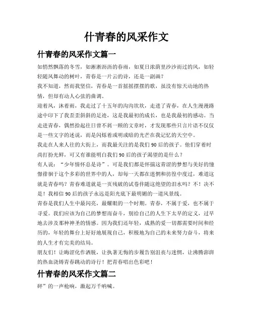 什青春的风采作文