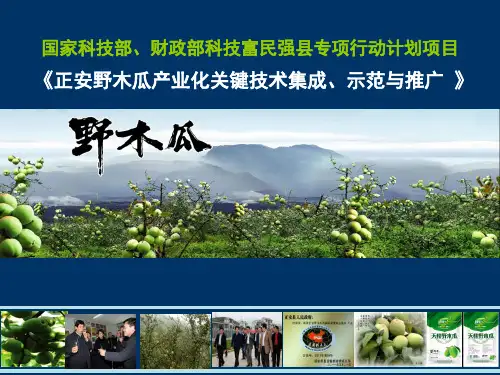 富民强县验收汇报