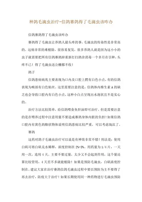 种鸽毛滴虫治疗-信鸽赛鸽得了毛滴虫该咋办