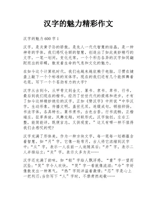汉字的魅力精彩作文