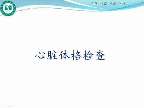 心脏体格检查培训讲学