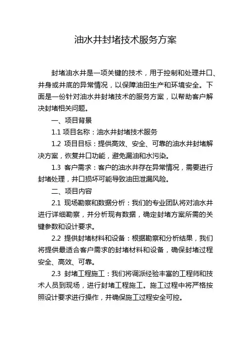 油水井封堵技术服务方案
