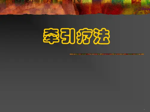 牵引疗法_精品文档