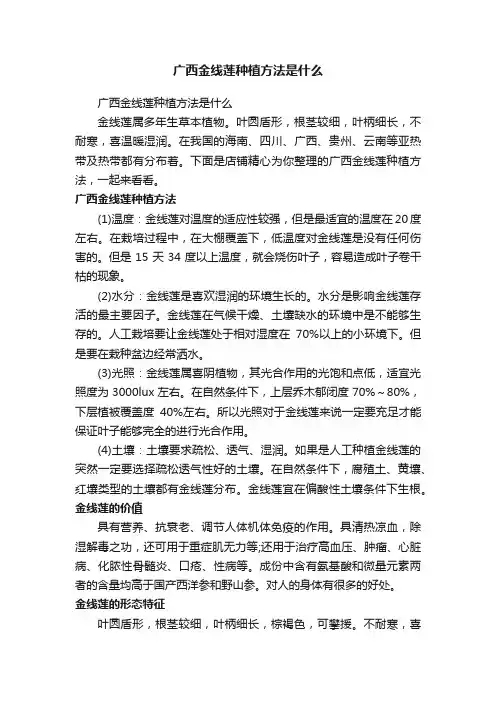 广西金线莲种植方法是什么
