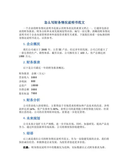 怎么写财务情况说明书范文
