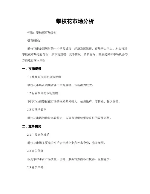 攀枝花市场分析