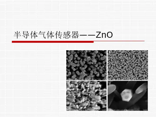 2024年ZnO气体半导体传感器简单介绍