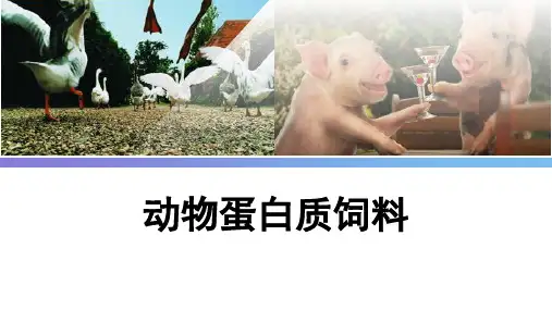 蛋白质饲料课件(共16张PPT)《畜禽营养与饲料》(高教版第二版)