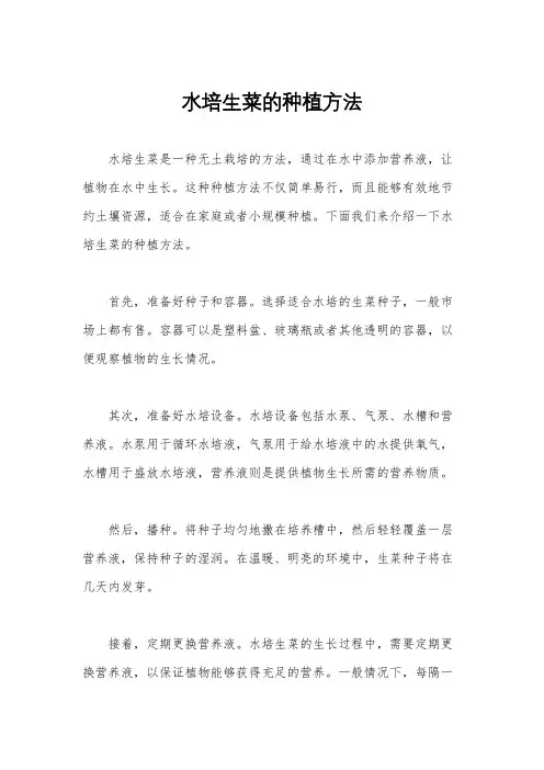 水培生菜的种植方法