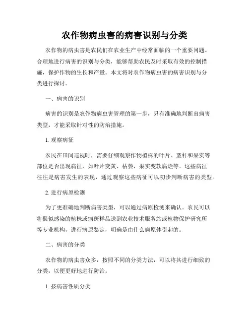 农作物病虫害的病害识别与分类