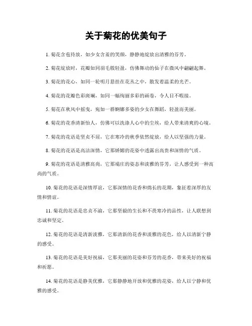 关于菊花的优美句子