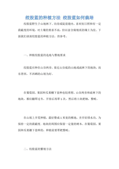 绞股蓝的种植方法 绞股蓝如何栽培