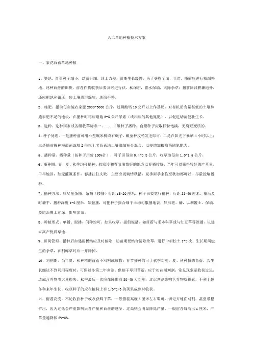 人工草地种植技术方案