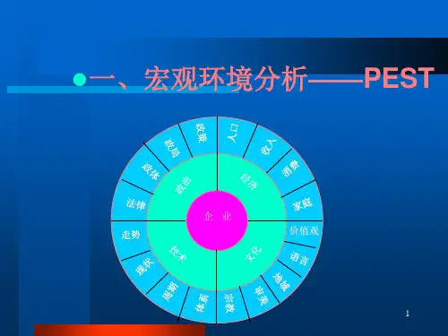市场营销学原理2营销环境分析技术案例