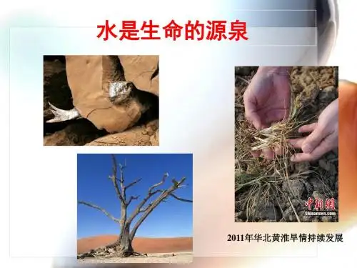植物的水分代谢
