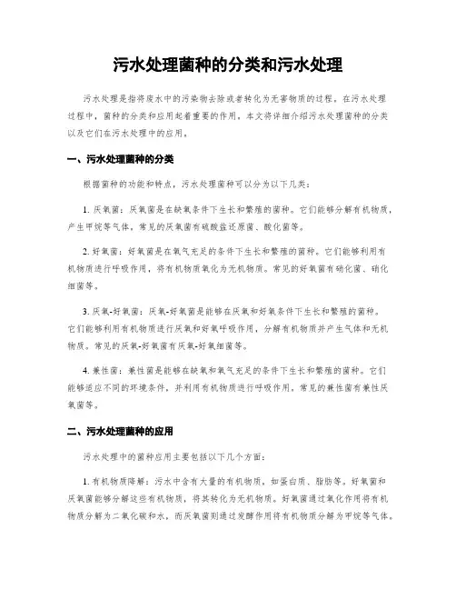 污水处理菌种的分类和污水处理