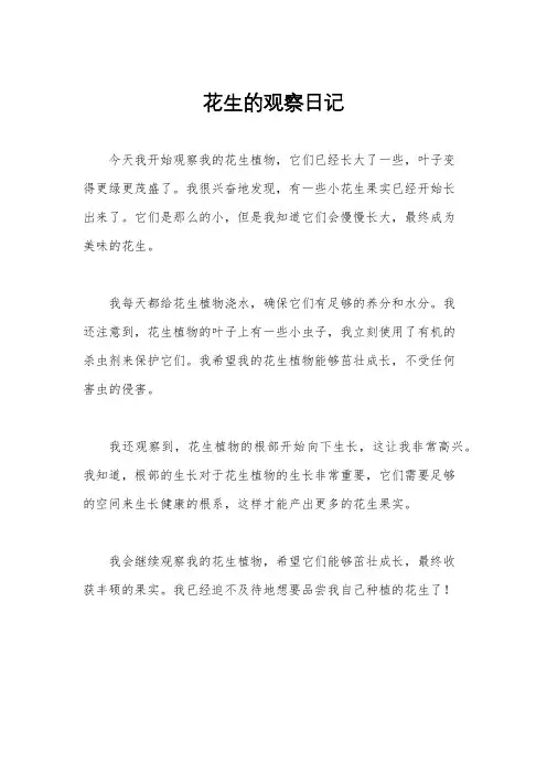 花生的观察日记