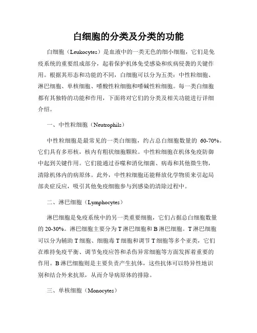 白细胞的分类及分类的功能