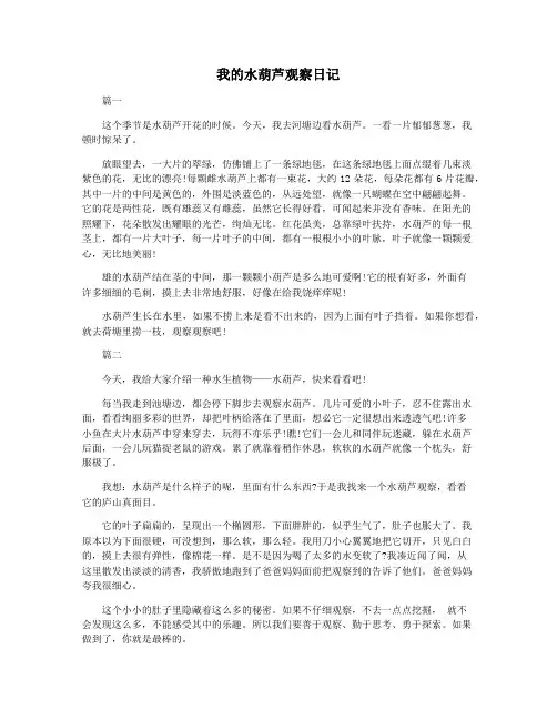 我的水葫芦观察日记