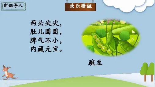 5 一个豆荚里的五粒豆  课件(共20张PPT)