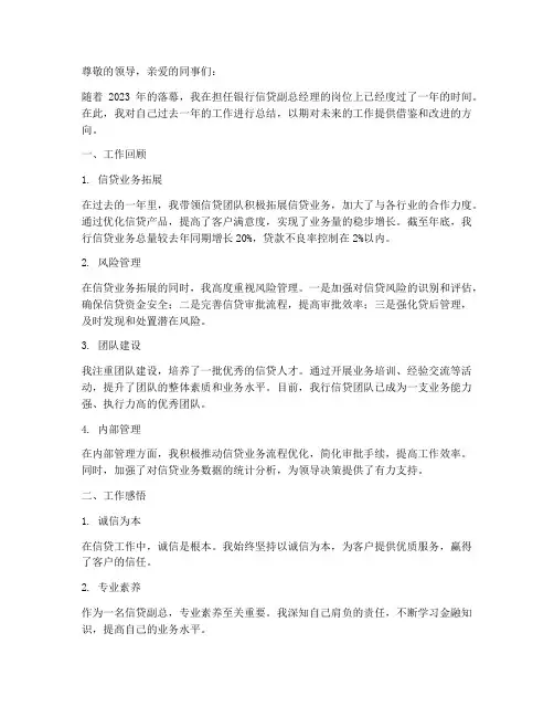 银行信贷副总个人工作总结
