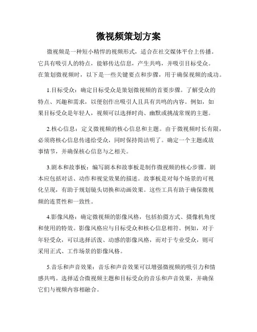 微视频策划方案