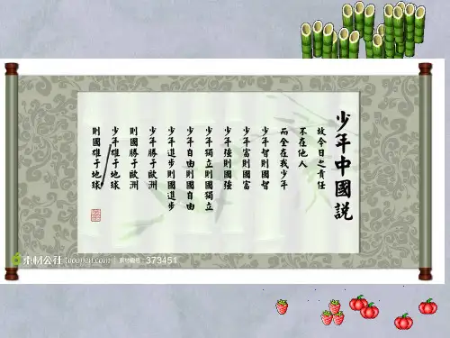 青少年犯罪讲座课件ppt