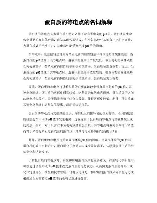 蛋白质的等电点的名词解释