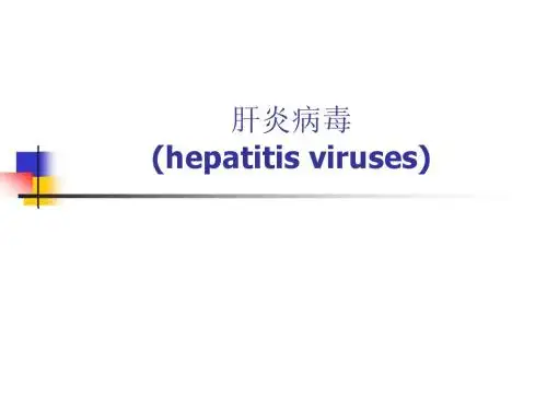 肝炎病毒