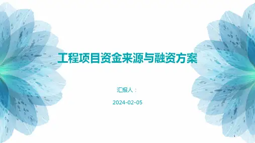 工程项目资金来源与融资方案