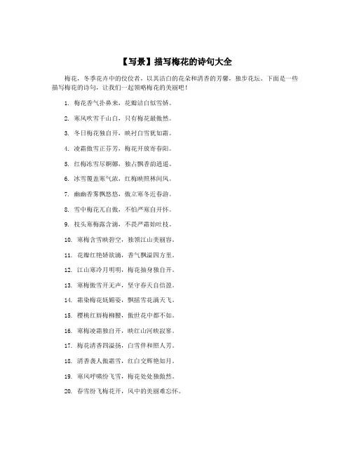 【写景】描写梅花的诗句大全