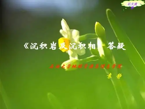 沉积岩答疑