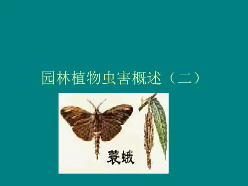 第九堂-病虫害(2)