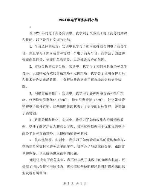 2024年电子商务实训小结