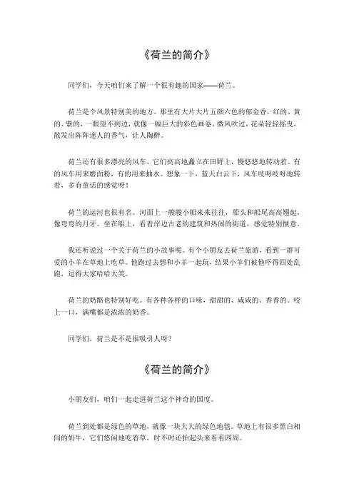 荷兰的简介360字