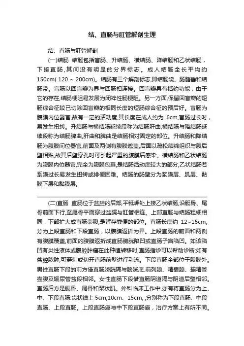 结、直肠与肛管解剖生理