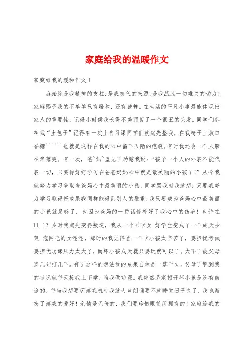 家庭给我的温暖作文