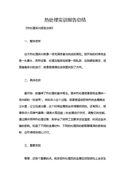 热处理实训报告总结