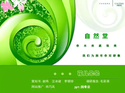 自然堂网络营销