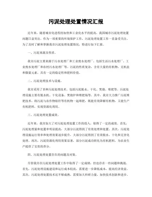 污泥处理处置情况汇报