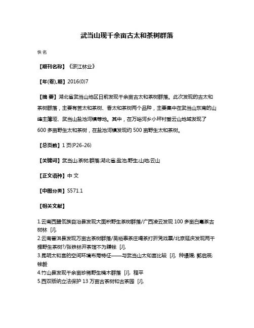 武当山现千余亩古太和茶树群落