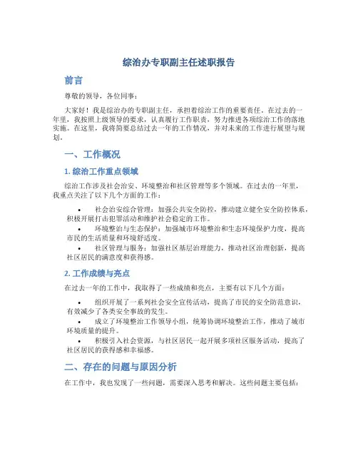 综治办专职副主任述职报告
