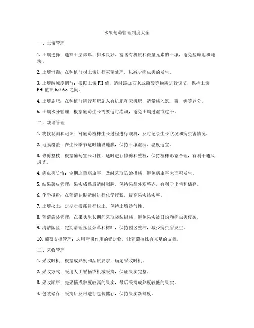 水果葡萄管理制度大全